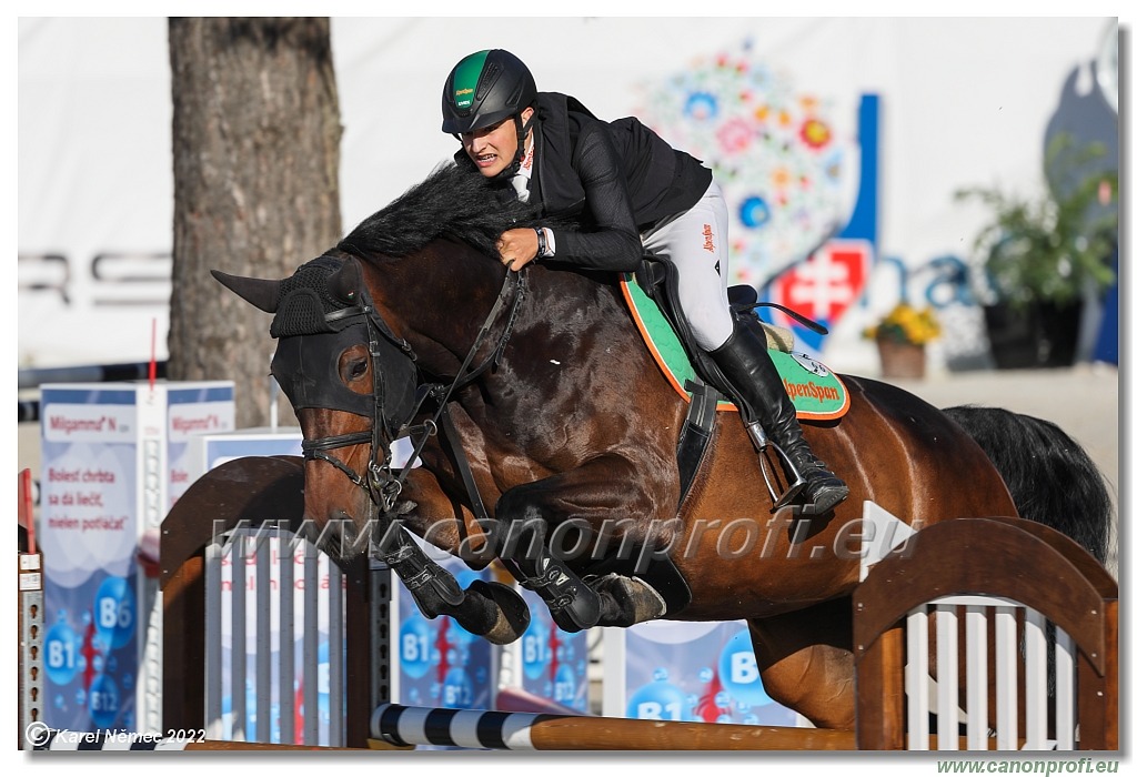 Danube Equestrian Festival - CSI1* - Middle Tour - 1.30 m