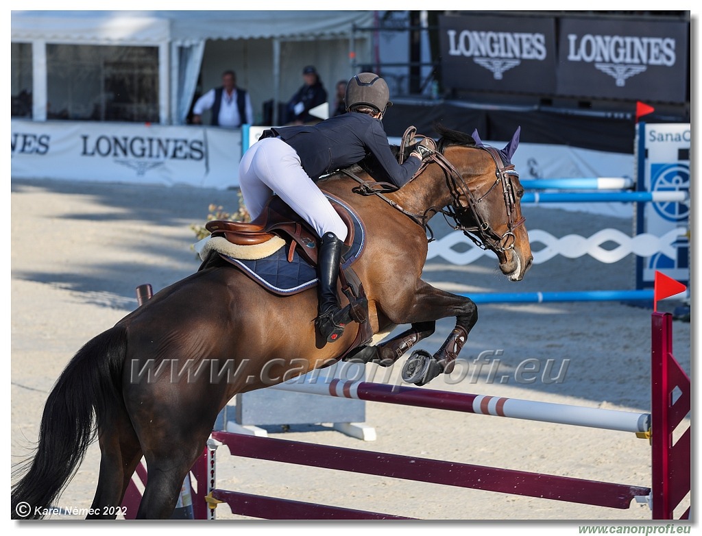 Danube Equestrian Festival - CSI1* - Middle Tour - 1.30 m