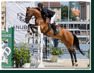 Danube Equestrian Festival - CSIO3* - Silver Tour - 1.35 m