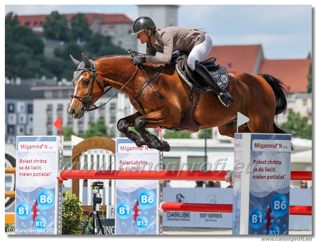 Danube Equestrian Festival - CSIO3* - Silver Tour - 1.35 m