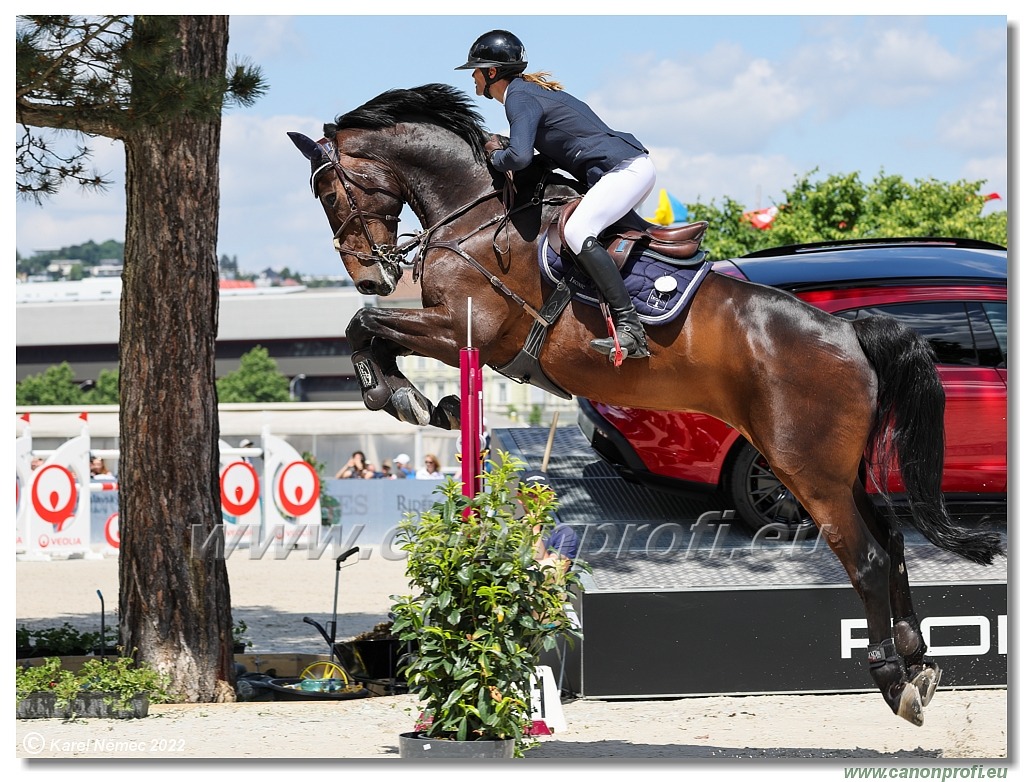 Danube Equestrian Festival - CSIO3* - Silver Tour - 1.35 m