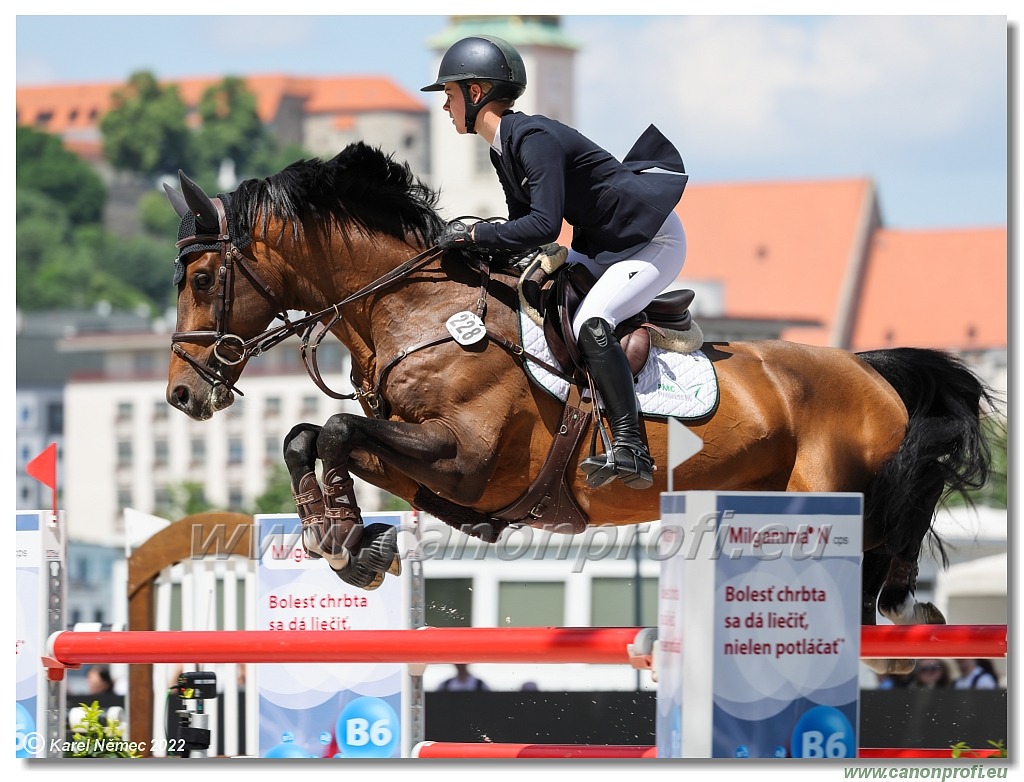 Danube Equestrian Festival - CSIO3* - Silver Tour - 1.35 m