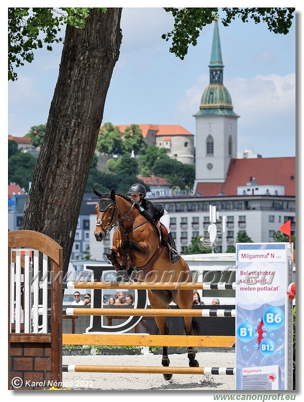 Danube Equestrian Festival - CSIO3* - Silver Tour - 1.35 m