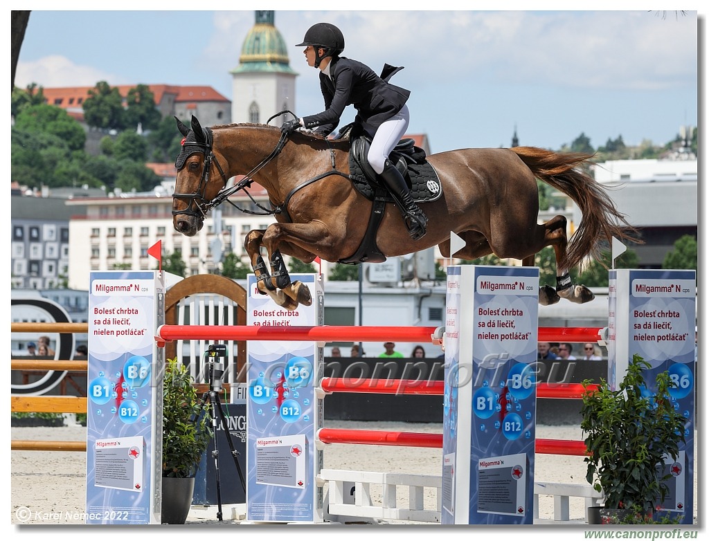 Danube Equestrian Festival - CSIO3* - Silver Tour - 1.35 m