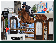 Danube Equestrian Festival - CSI1* - Small Tour - 1.20 m