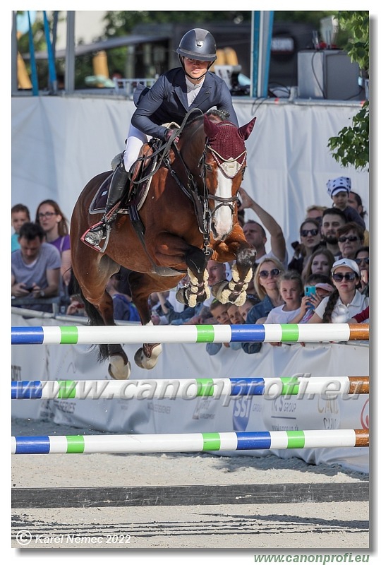 Danube Equestrian Festival - CSI1* - Small Tour - 1.20 m