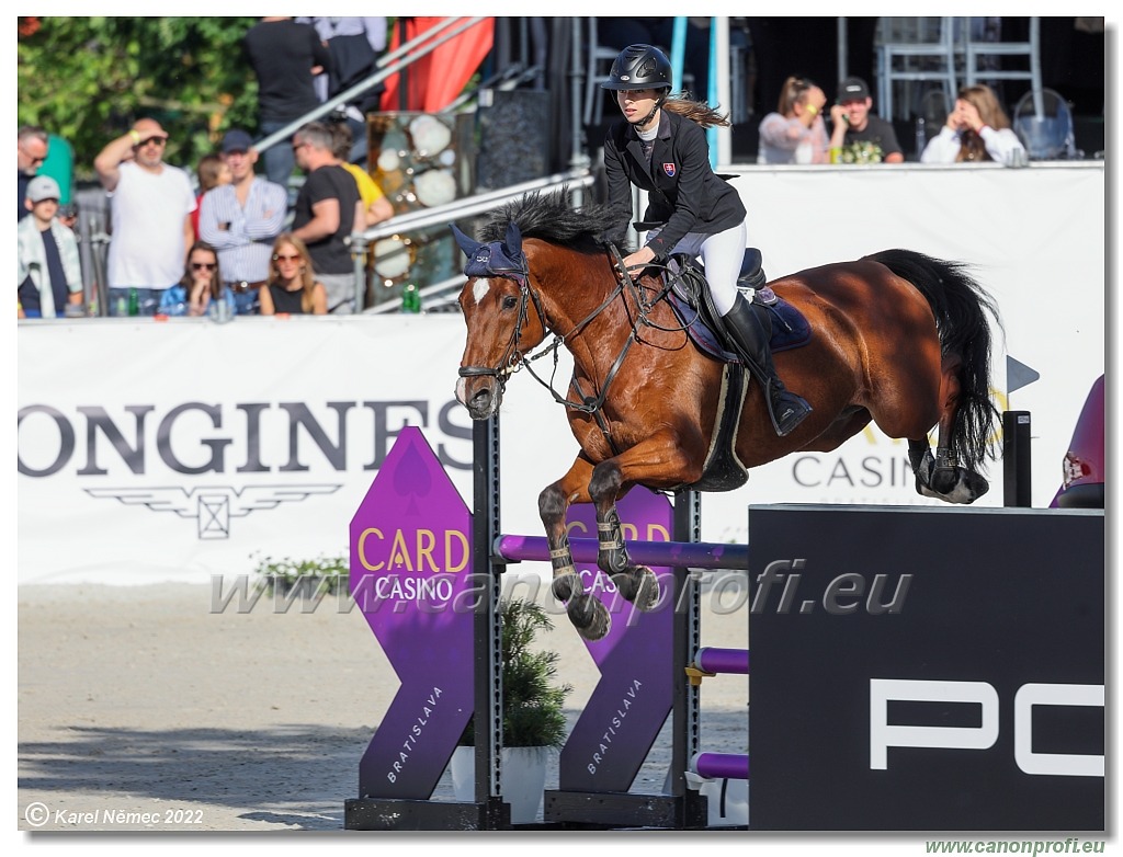 Danube Equestrian Festival - CSI1* - Small Tour - 1.20 m