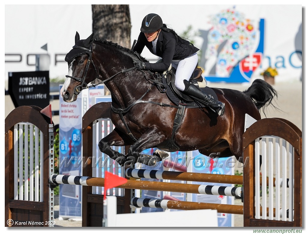 Danube Equestrian Festival - CSI1* - Small Tour - 1.20 m