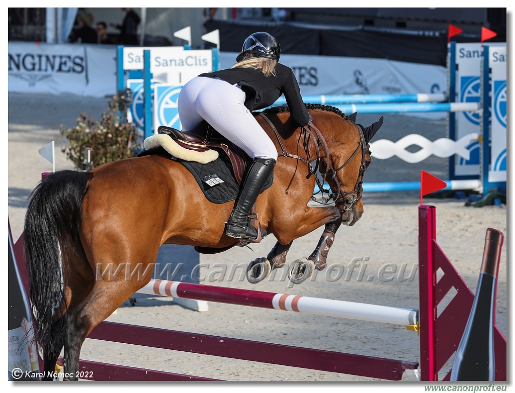 Danube Equestrian Festival - CSI1* - Small Tour - 1.20 m