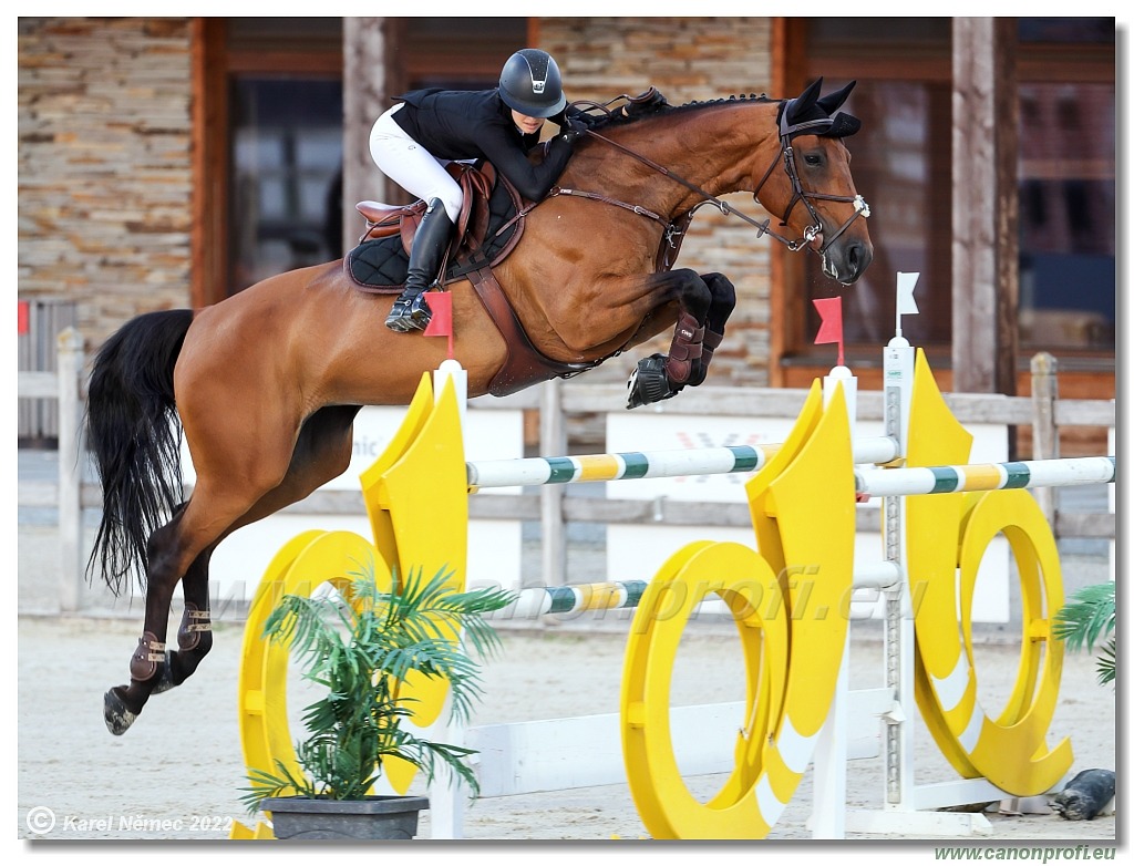 CSI2* Open - Big Tour - 1.40m