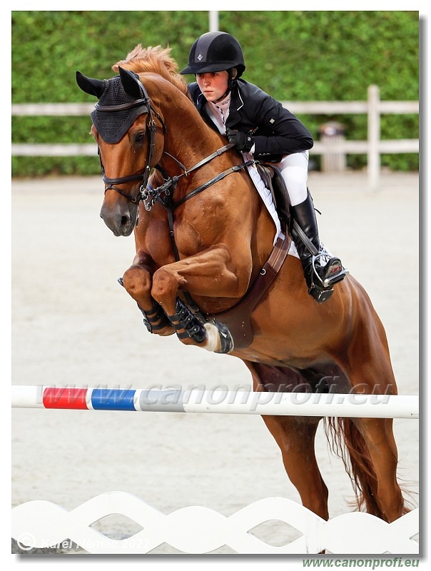 CSI2* Open - Big Tour - 1.40m