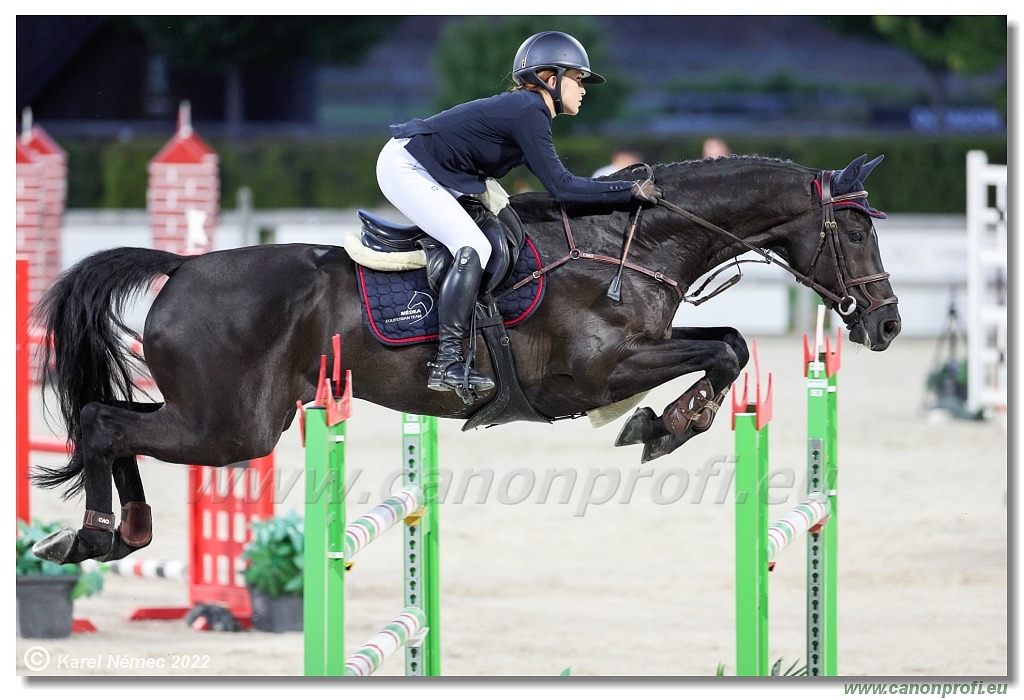 CSI2* Open - Big Tour - 1.40m