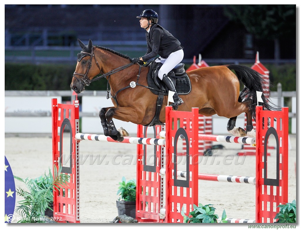 CSI2* Open - Big Tour - 1.40m