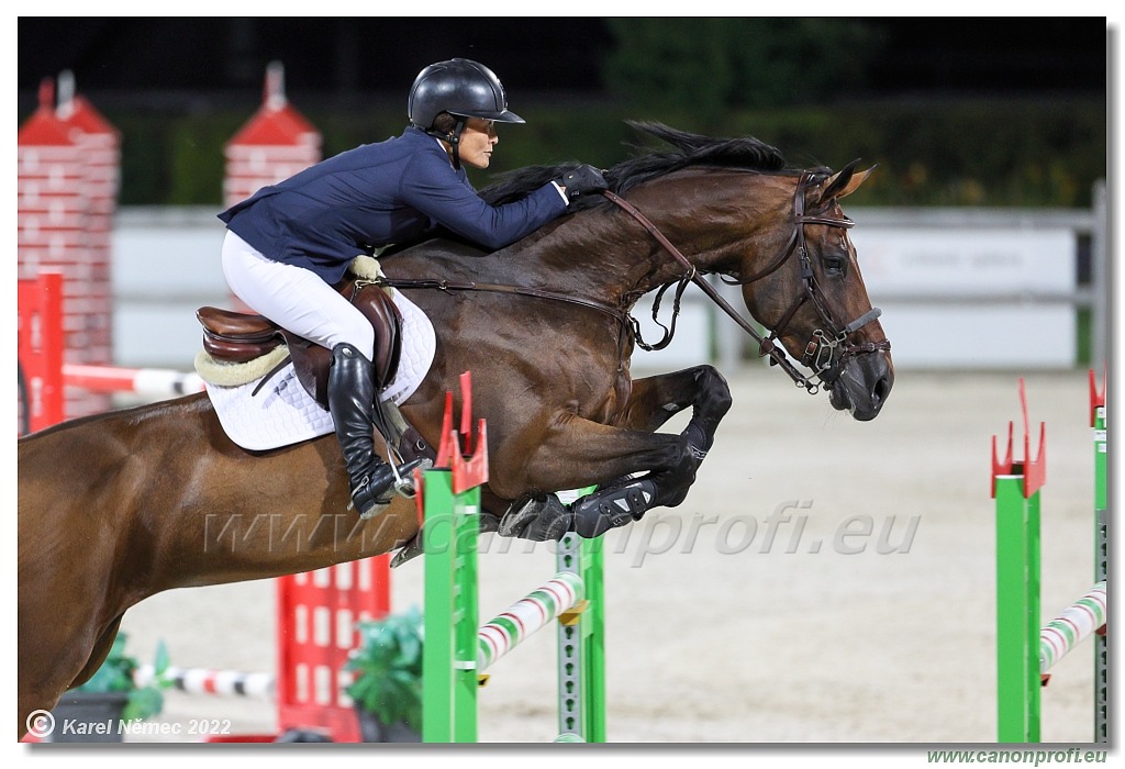 CSI2* Open - Big Tour - 1.40m