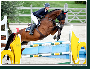 Danube Champions Tour - CSI1* - Big Tour - 1.30m