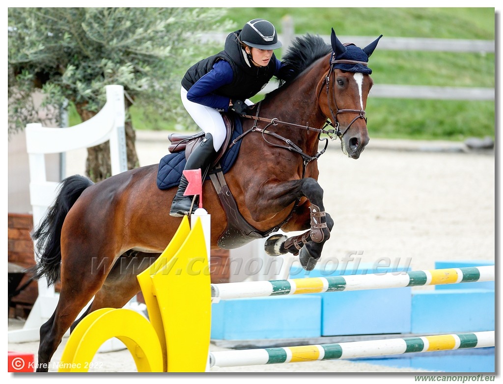 Danube Champions Tour - CSI1* - Big Tour - 1.30m