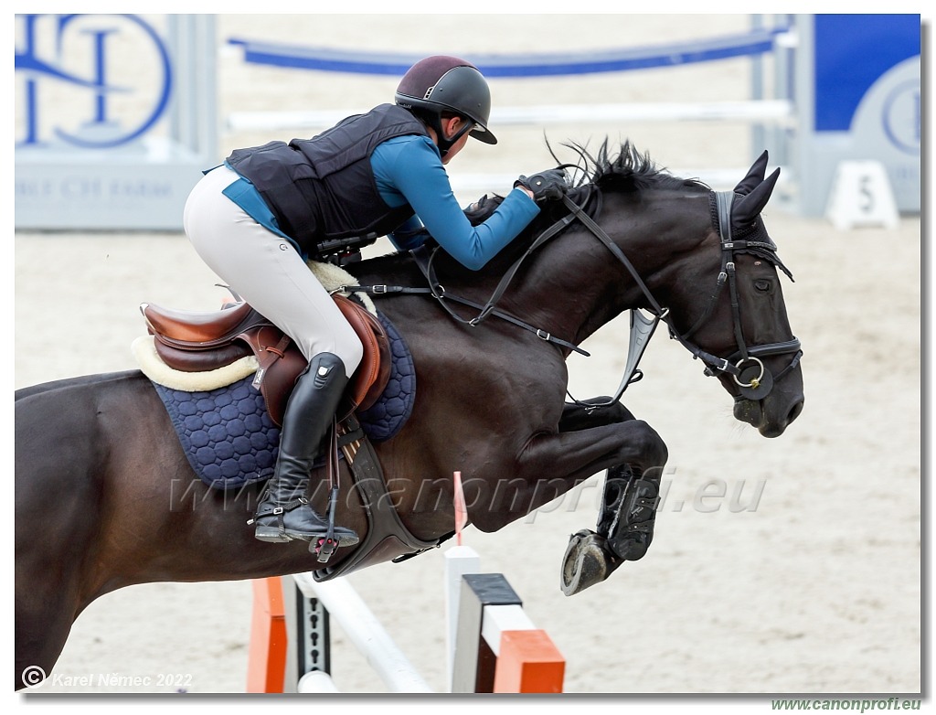 Danube Champions Tour - CSI1* - Big Tour - 1.30m