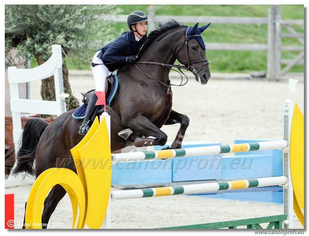 Danube Champions Tour - CSI1* - Big Tour - 1.30m