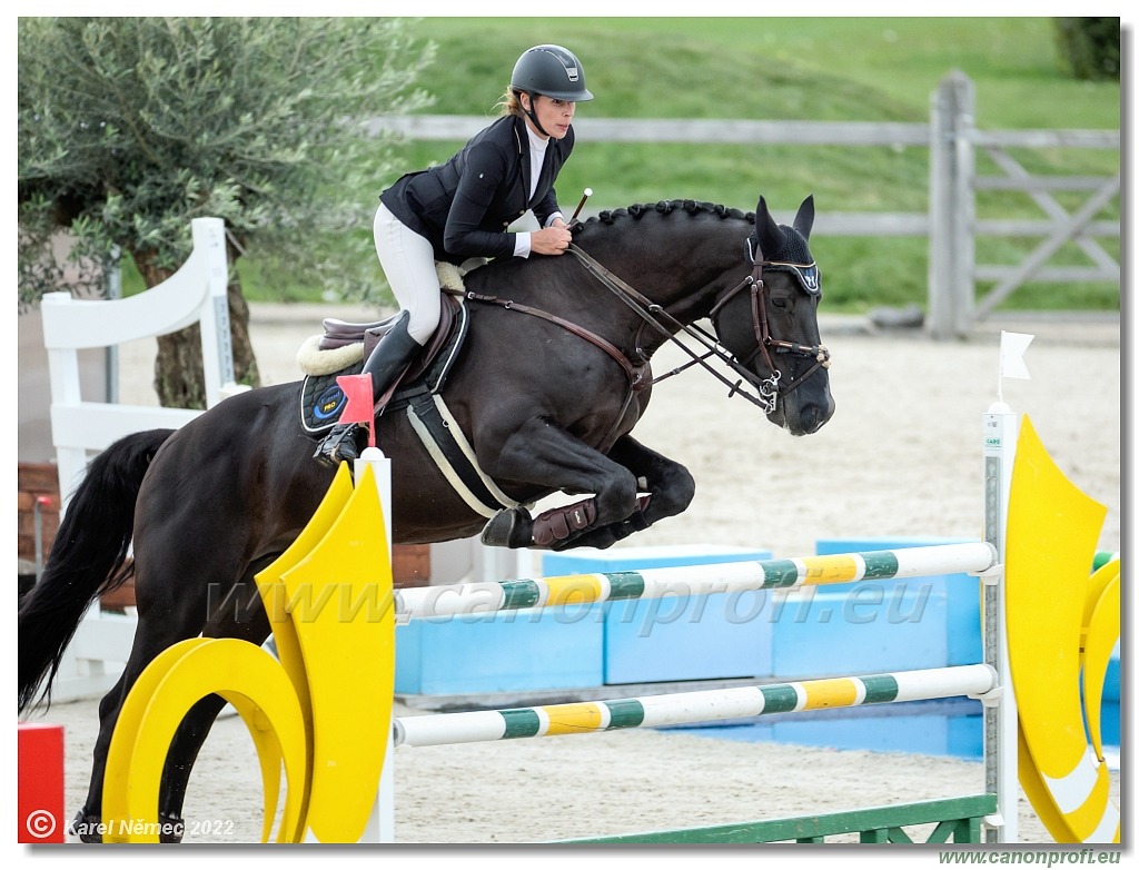 Danube Champions Tour - CSI1* - Big Tour - 1.30m