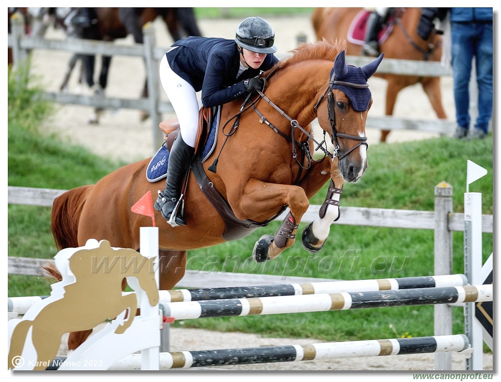 Danube Champions Tour - CSI1* - Big Tour - 1.30m