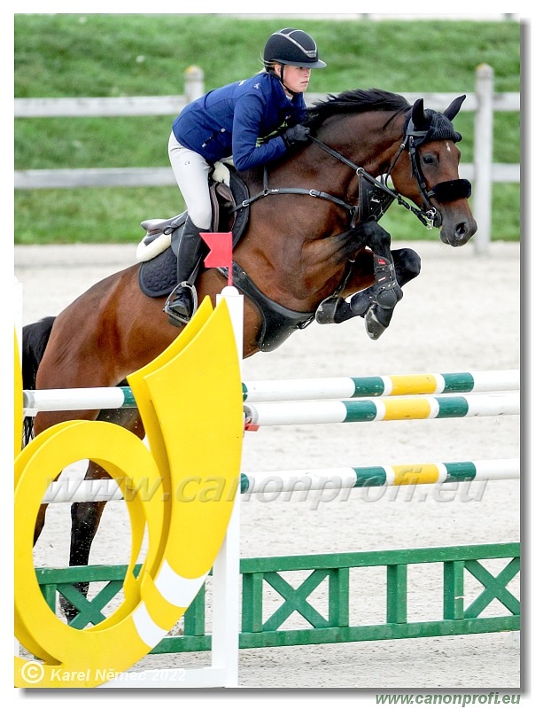 Danube Champions Tour - CSI1* - Big Tour - 1.30m