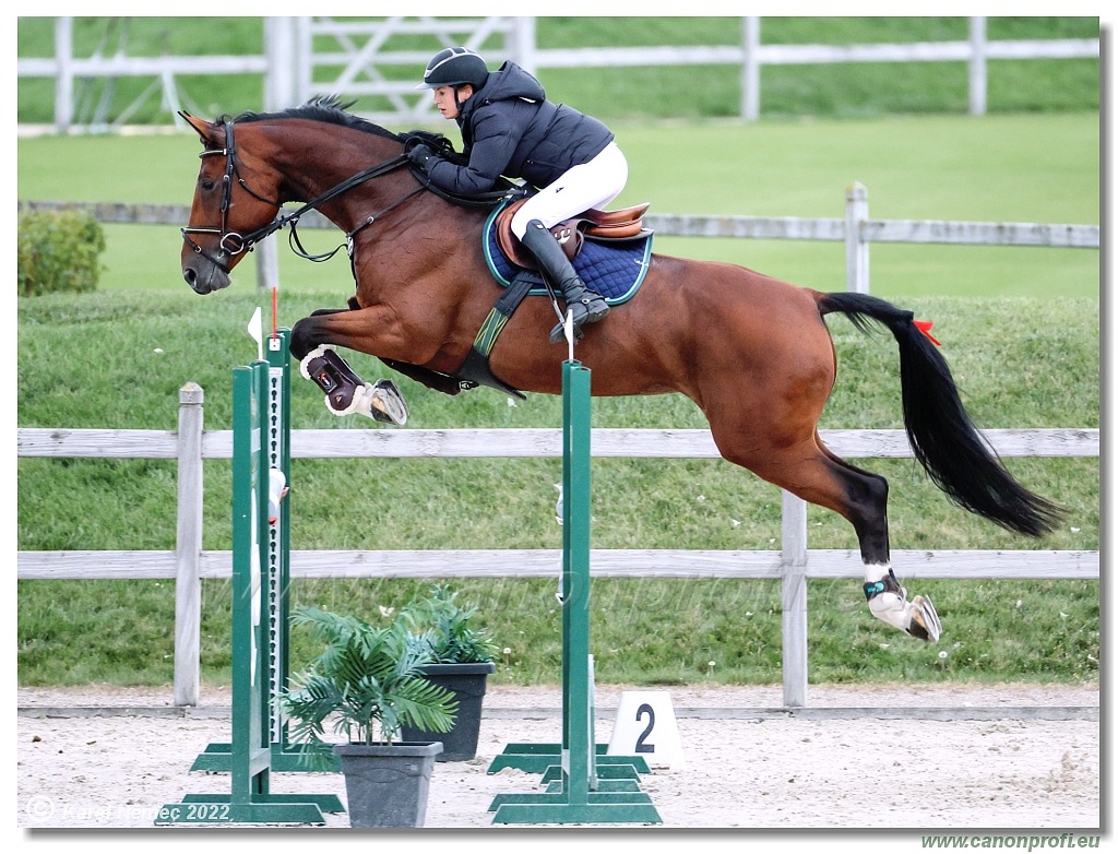 Danube Champions Tour - CSI1* - Big Tour - 1.30m