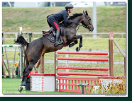 Danube Champions Tour - CSI3* - Silver Tour-Derby - 1.45m