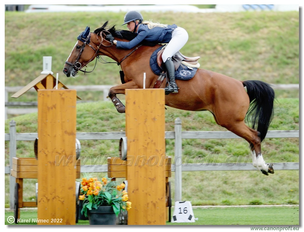 Danube Champions Tour - CSI3* - Derby - 1.45m