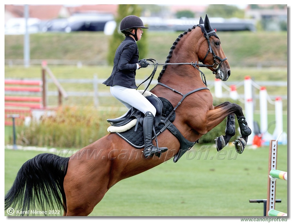 Danube Champions Tour - CSI3* - Derby - 1.45m