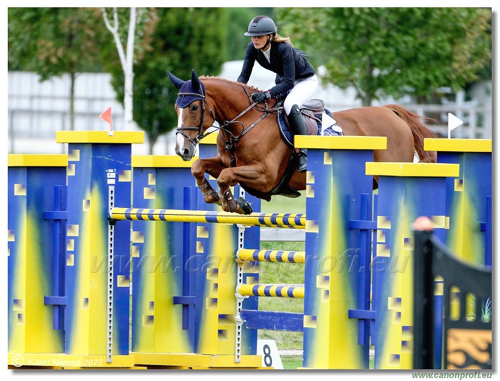 Danube Champions Tour - CSI3* - Derby - 1.45m