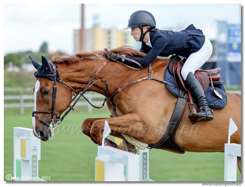 Central European League - CSI3* - Grand Prix - 1.50