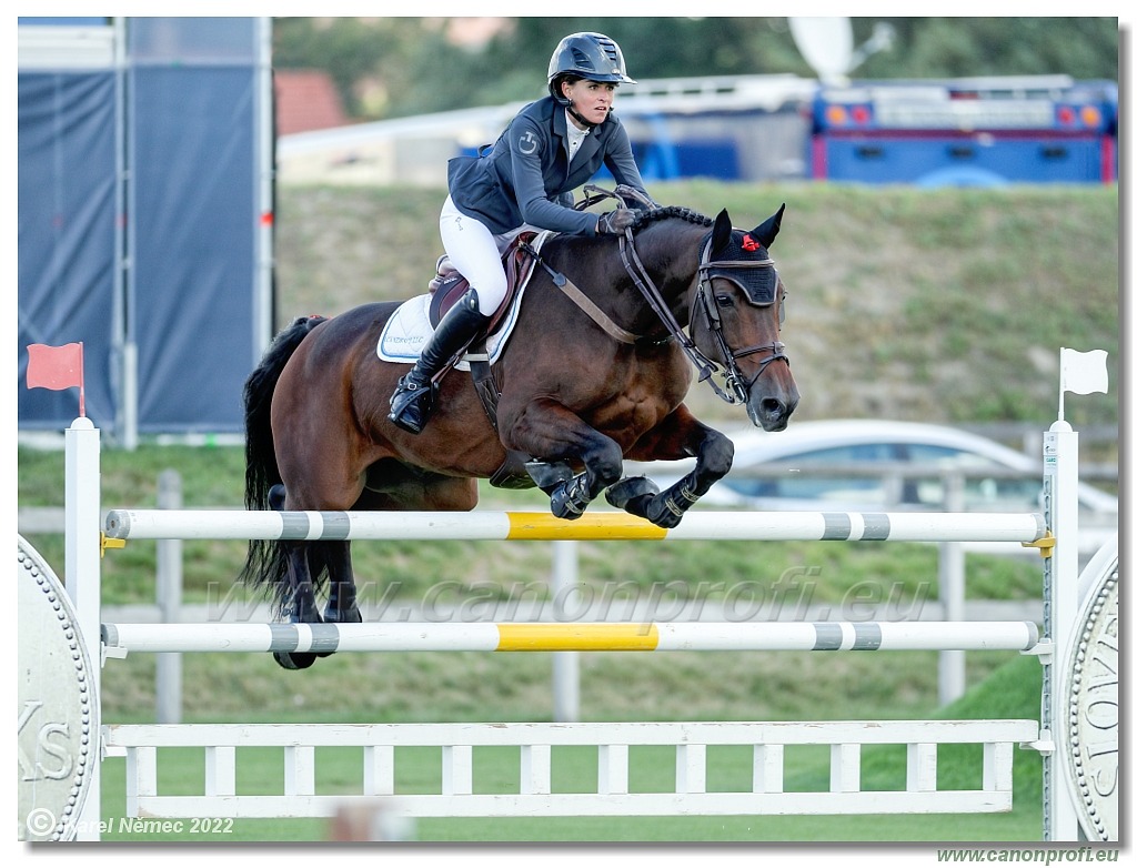 Central European League - CSI3* - Grand Prix - 1.50