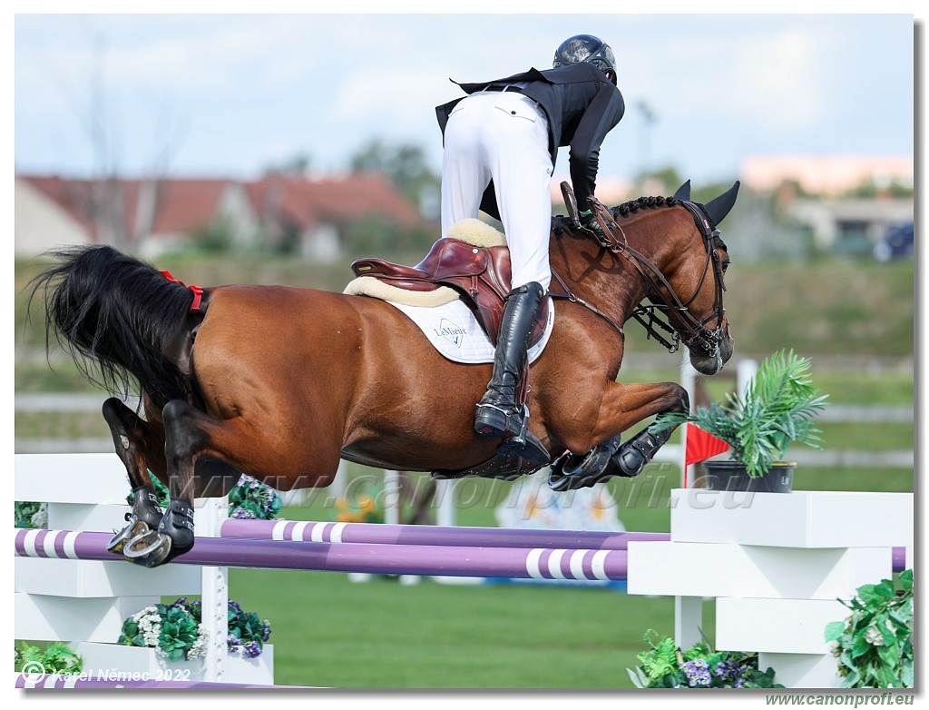 Central European League - CSI3* - Grand Prix - 1.50