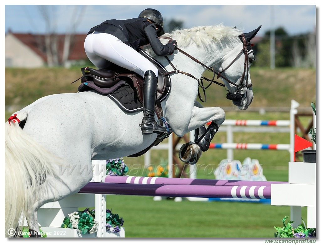 Central European League - CSI3* - Grand Prix - 1.50