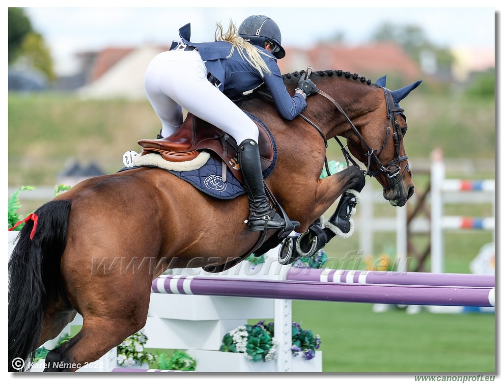 Central European League - CSI3* - Grand Prix - 1.50