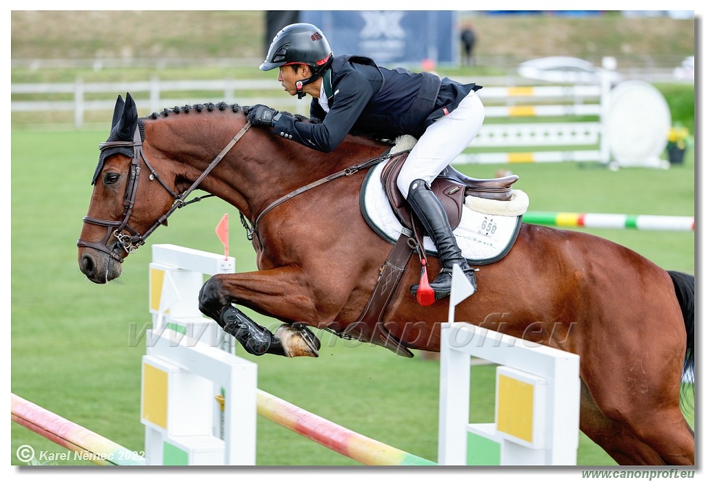 Central European League - CSI3* - Grand Prix - 1.50