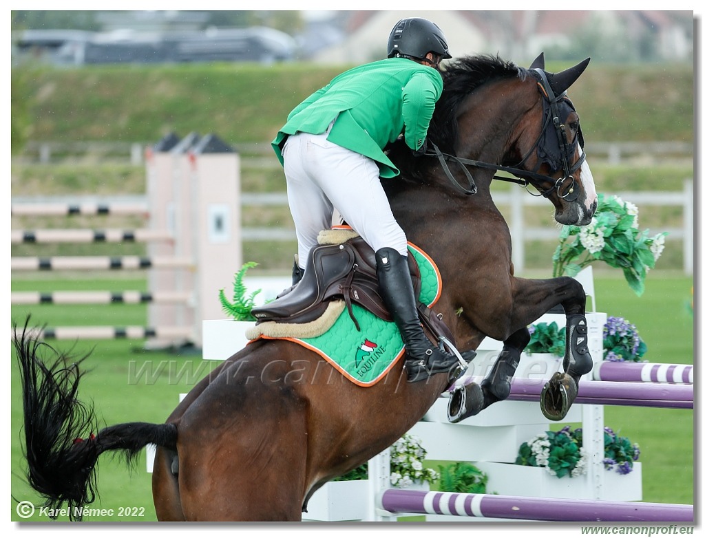 Central European League - CSI3* - Grand Prix - 1.50