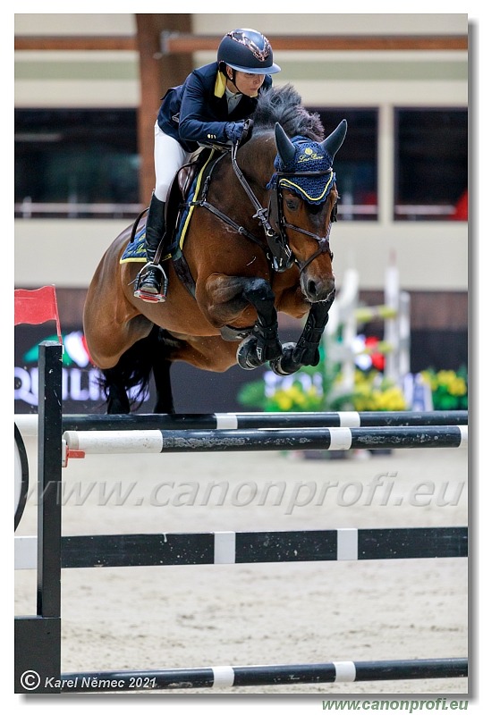 Šamorín - CSI5* Competition in 2 phases - 1.45m