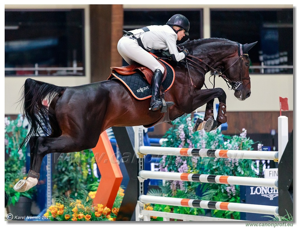 Šamorín - CSI5* Competition in 2 phases - 1.45m