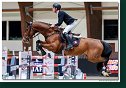 SCOTT BRASH, GBR - HELLO JEFFERSON 