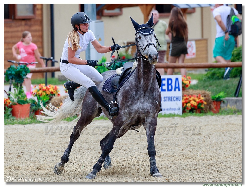 Rozálka Grand Prix 16th June 2018 - 130 cm