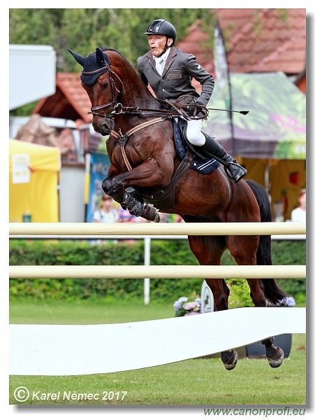 Little Prix Bratislava - Middle Tour Final 145 cm