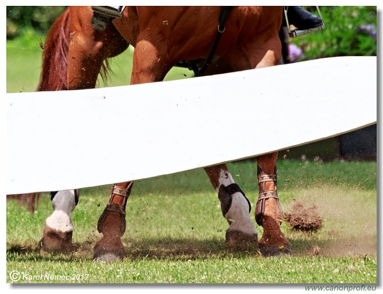 Little Prix Bratislava - Middle Tour Final 145 cm