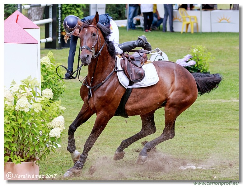 European Youngster Cup Qualifier 145 cm