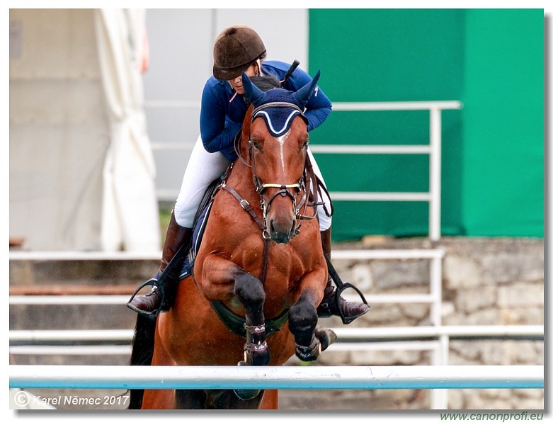 Youngster Tour 5Y 120 cm