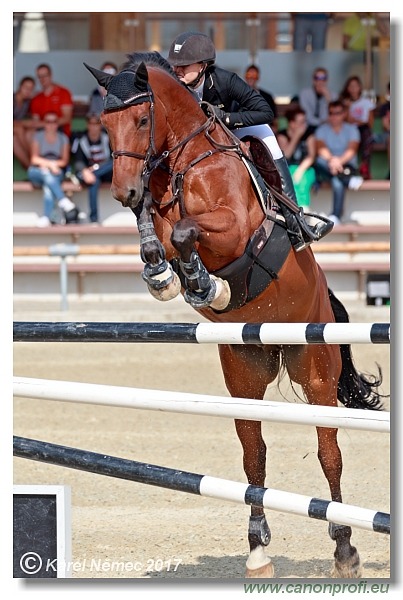 Malokarpatský strapec CSI2* - Big Tour