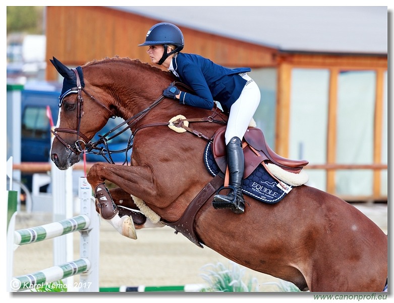 Malokarpatský strapec CSI2* - Big Tour