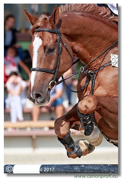 Malokarpatský strapec CSI2* - Big Tour