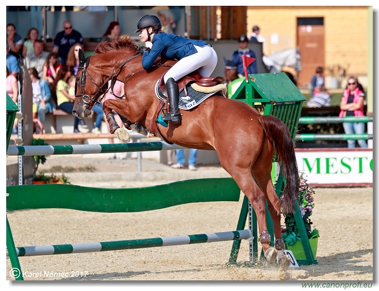 Malokarpatský strapec CSI2* - Big Tour