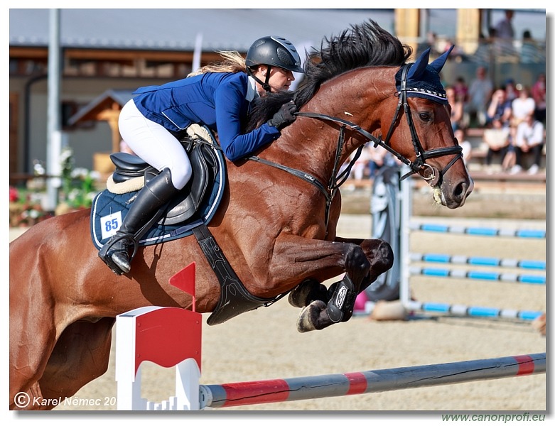 Malokarpatský strapec CSI2* - Big Tour